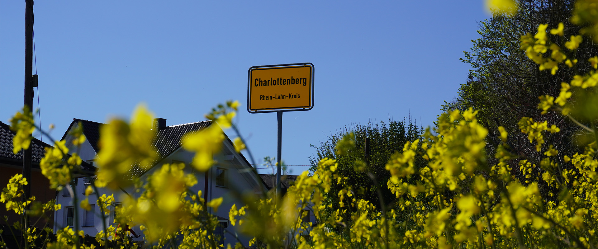 home_header_1.jpg