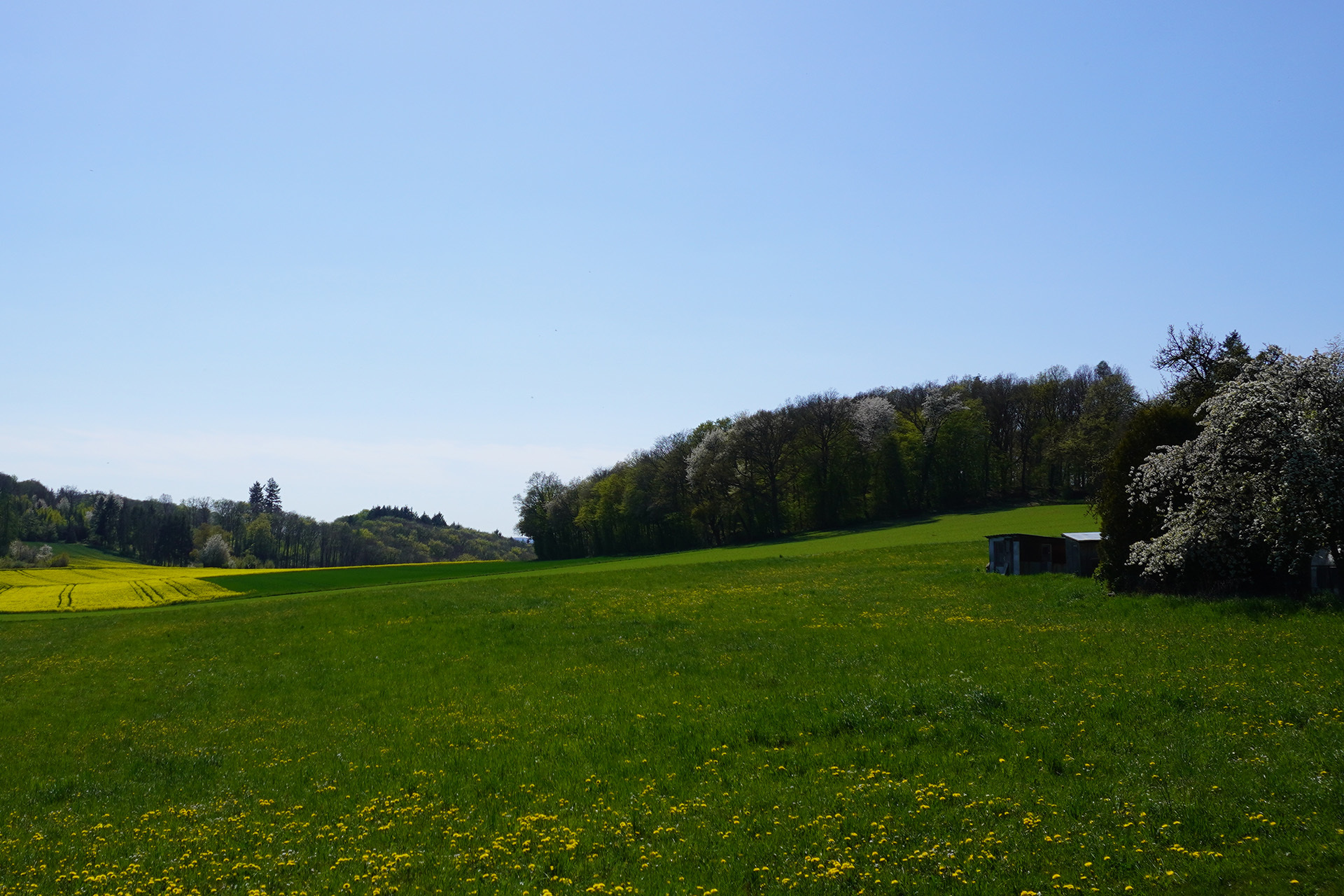 freizeit_dl_4.jpg